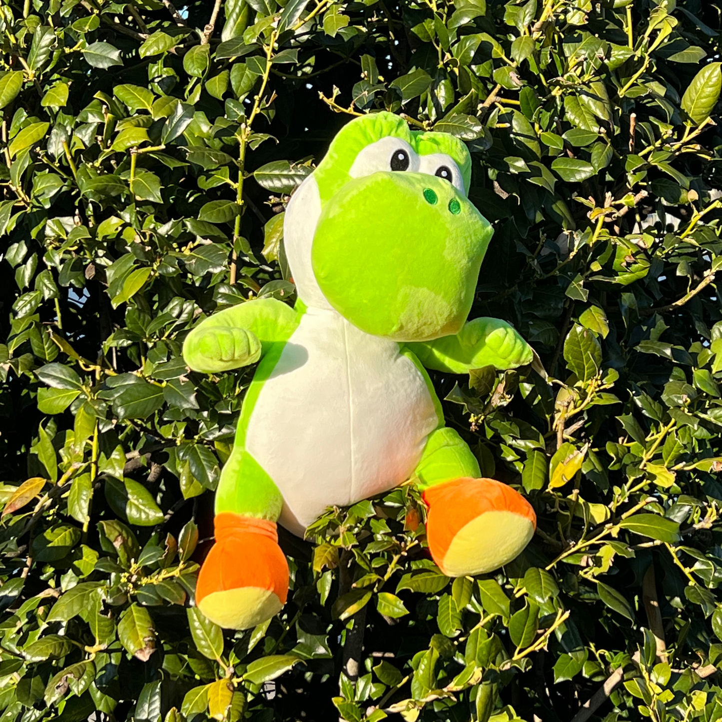 Big Green Yoshi