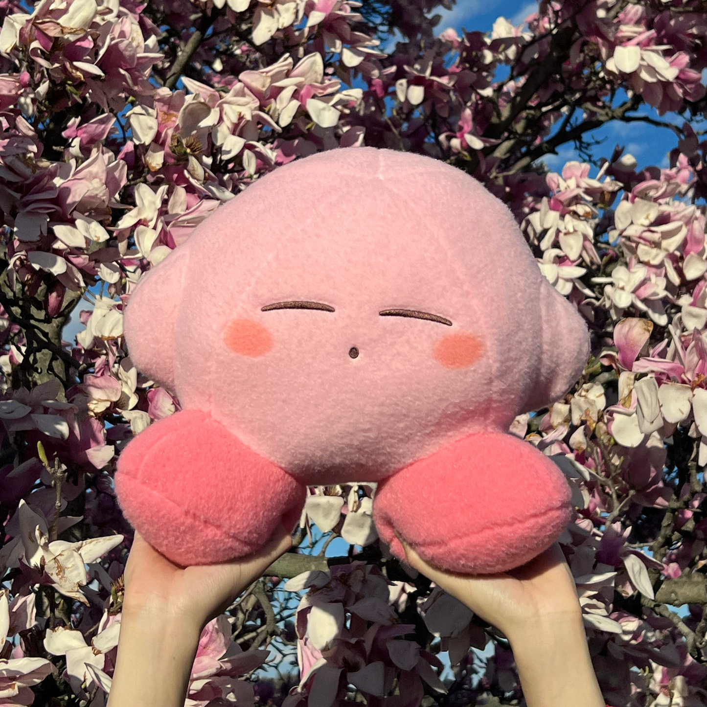 Sleepy Kirby